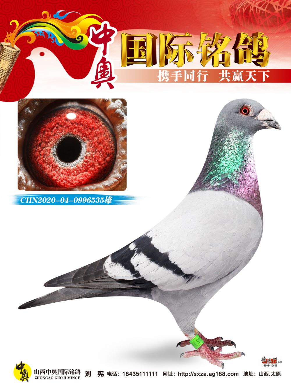 CHN2020-04-0996535