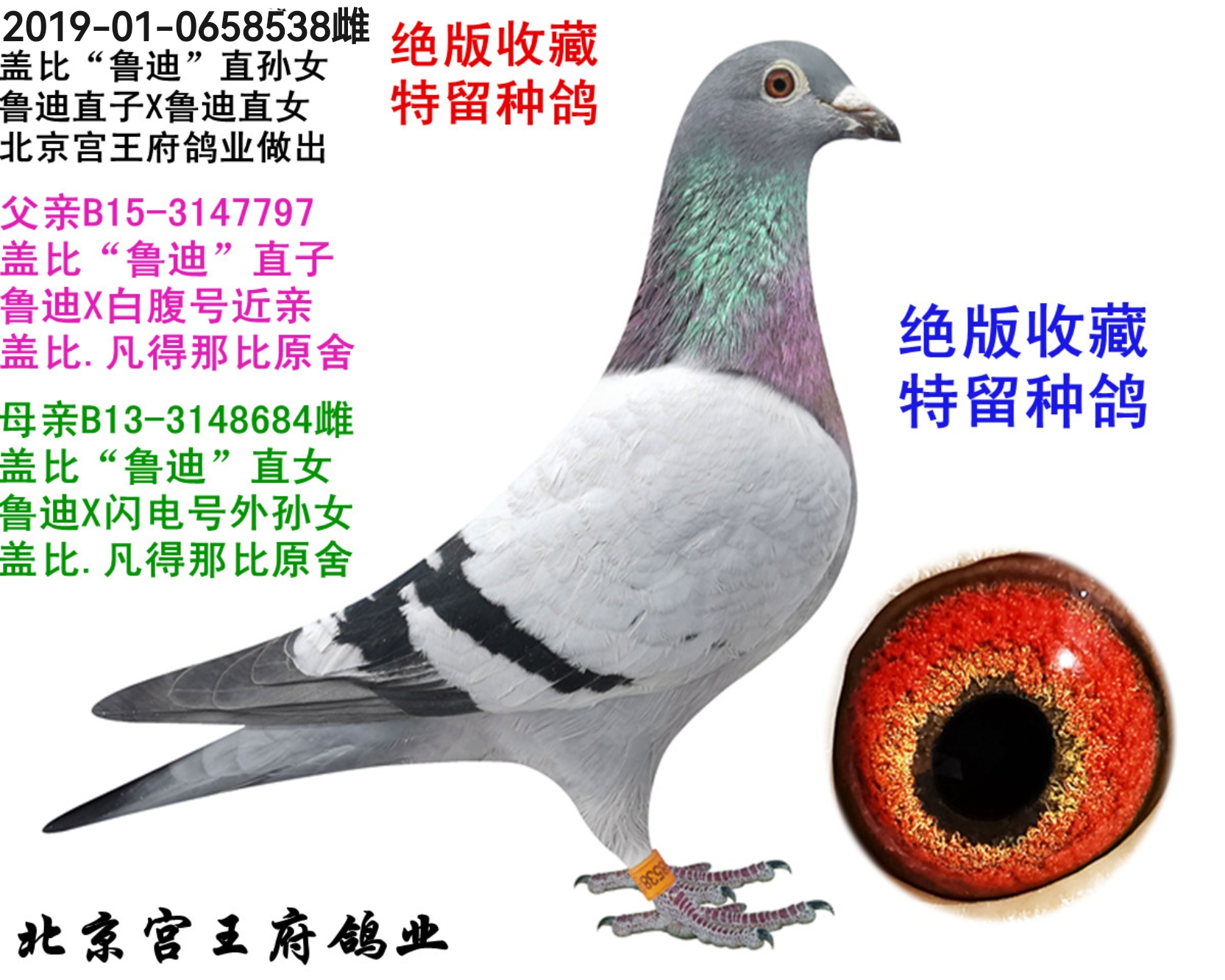 wȡ?sh)ϡHֱOŮ N