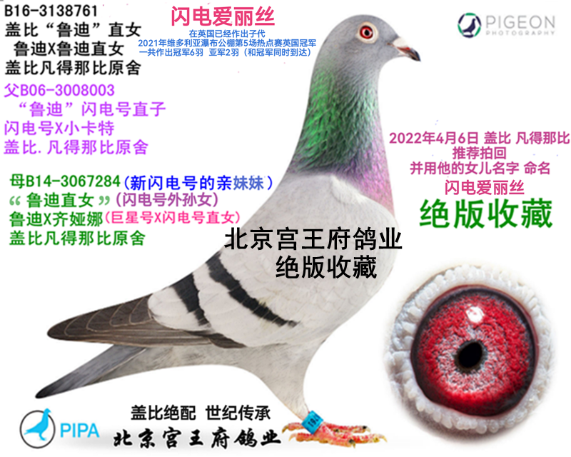 wȽ^ o(j)  ?sh)ֱ? ></a>
        
      
      </div>
   
       <br>
    </td>
  </tr>
</table>
   
<table width=