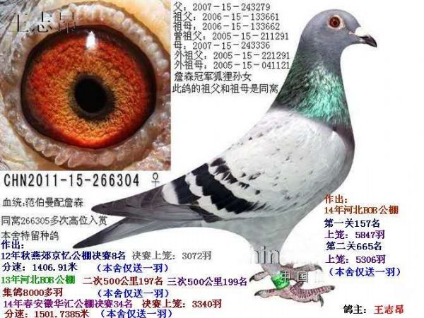 ĸ304