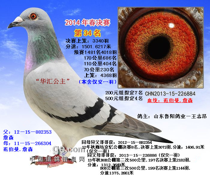 304ֱŮջ34ȥǨ