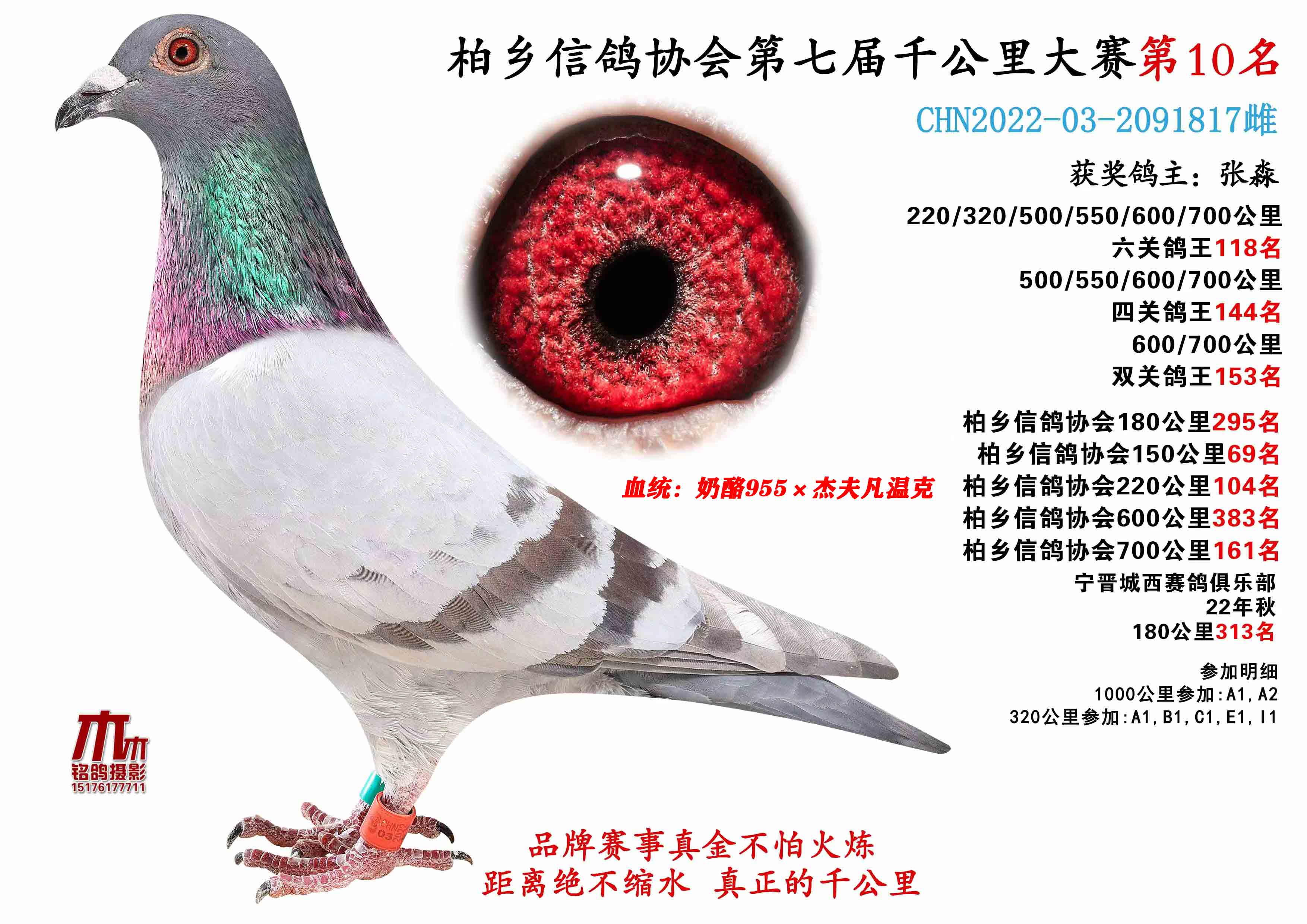 23ǧ10