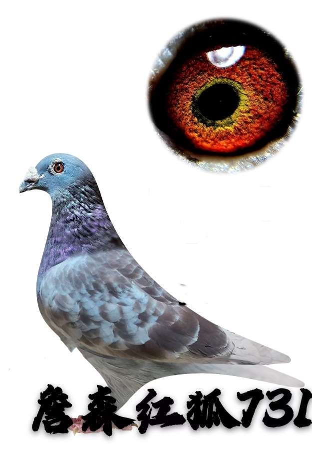 û