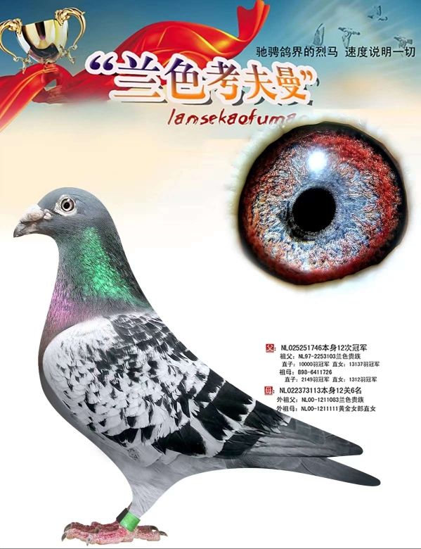 û
