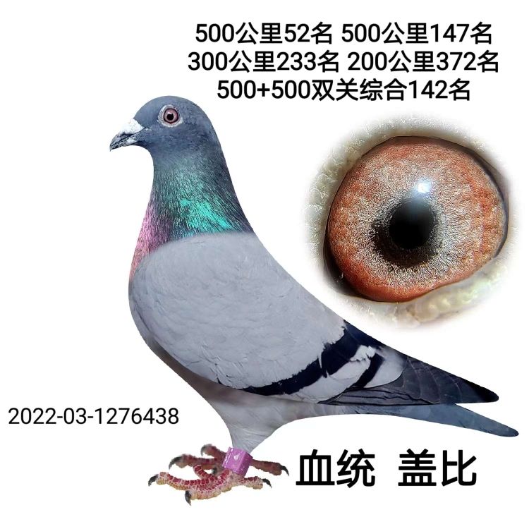 û