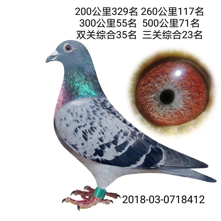 û