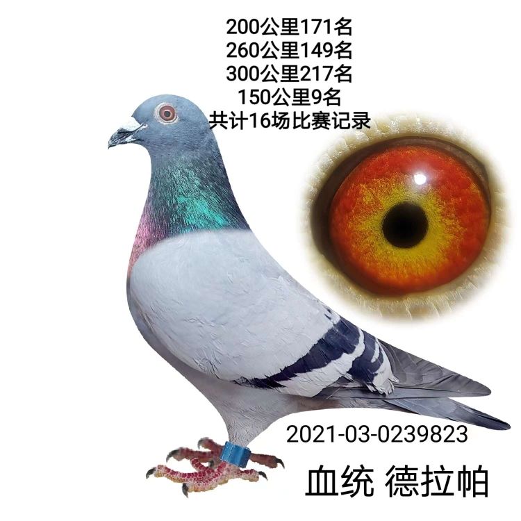 û