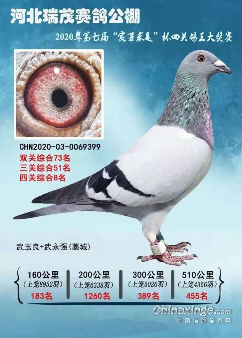 ɣʿ