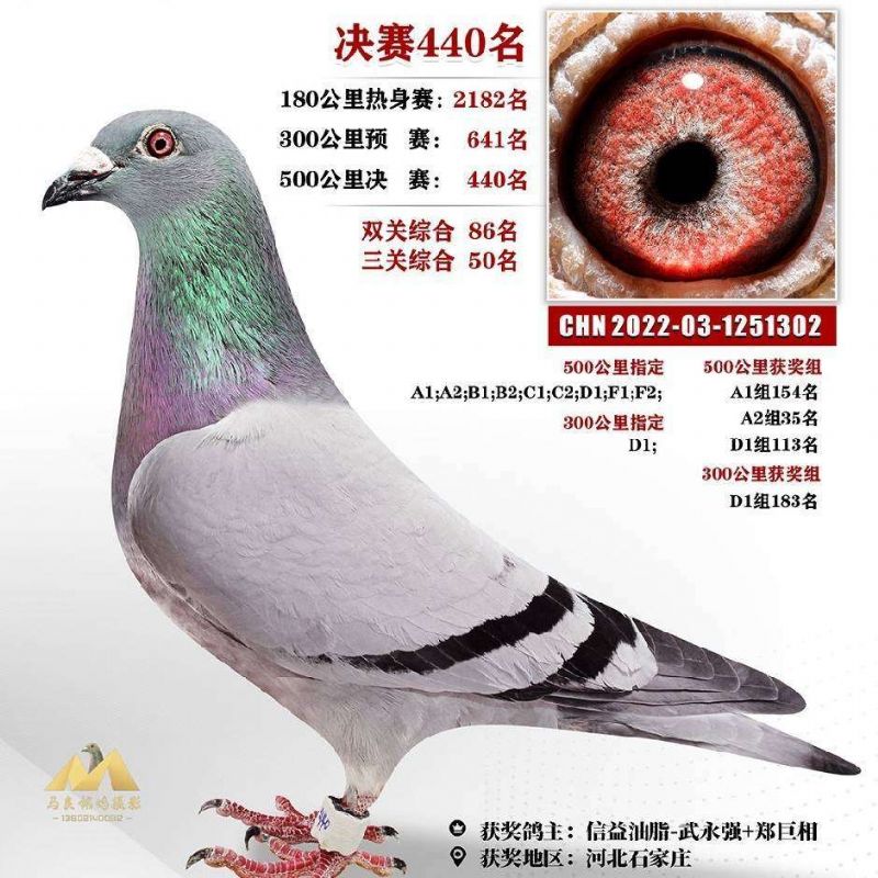 Qِ440