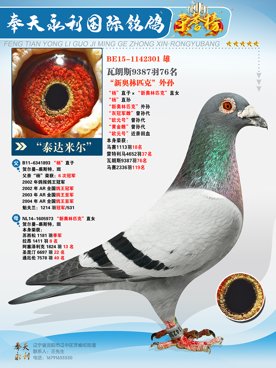 ��̩���׶������ֱ�� ���°���ƥ�ˡ���