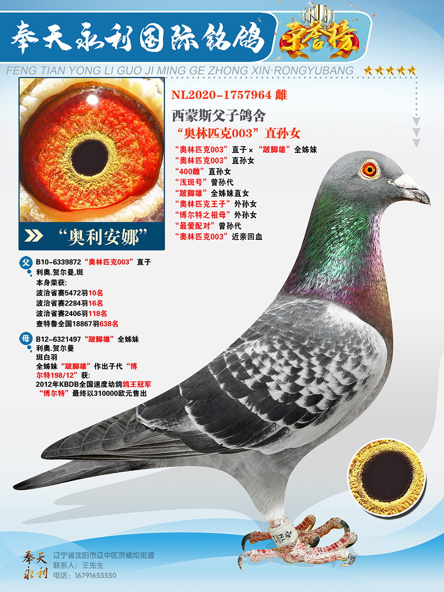 ���������ȡ����W��ƥ��003��ֱ��Ů ��