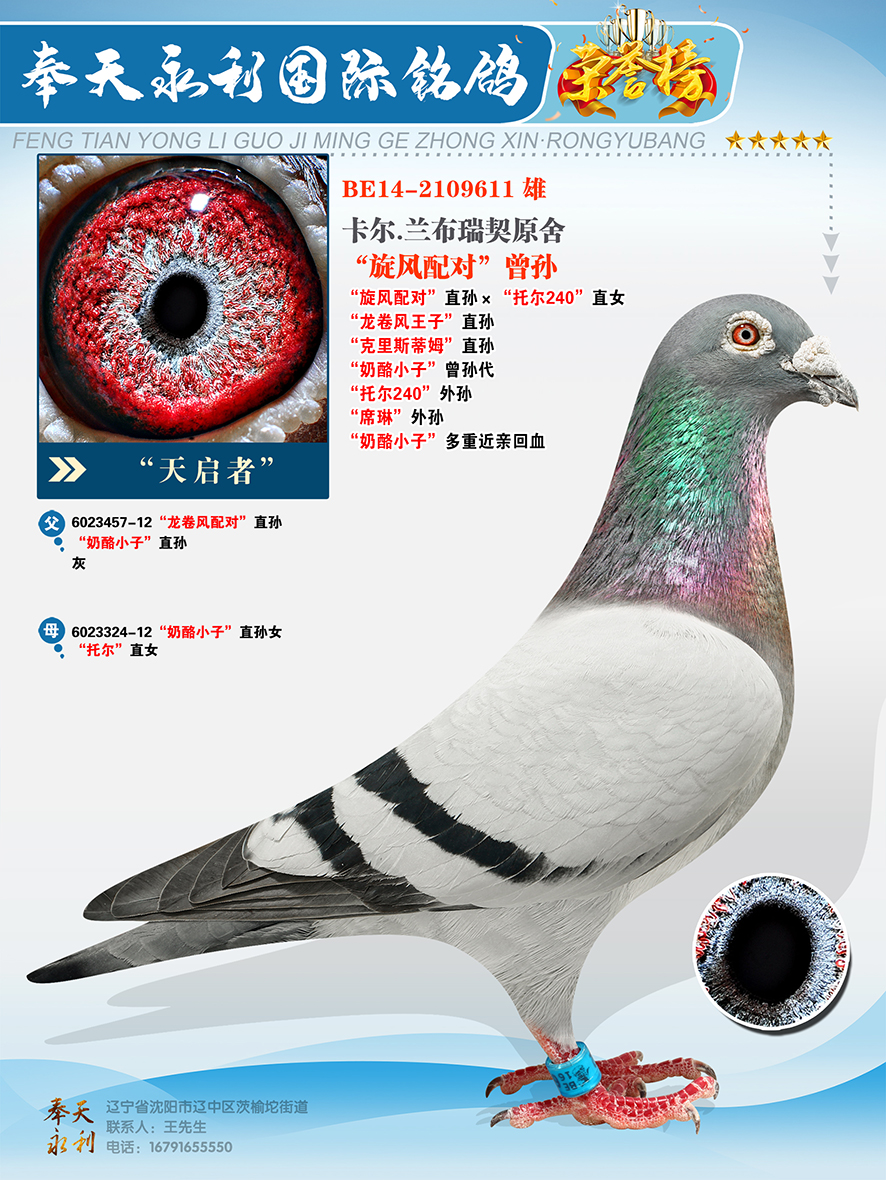 솢ߡL(fng)䌦OР240
