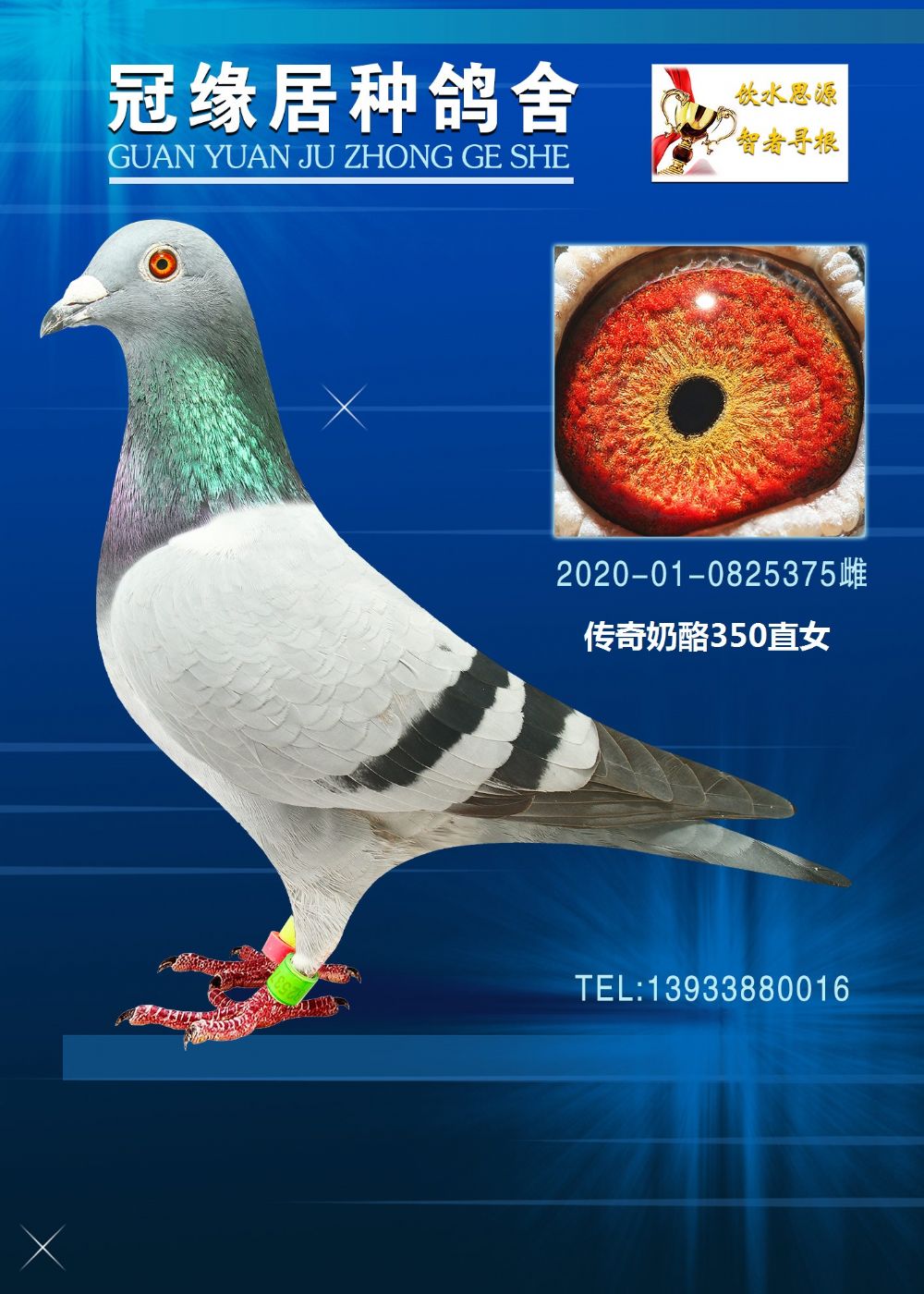 350ֱŮ375
