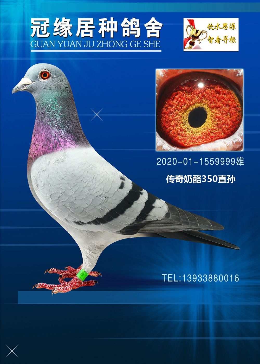 350ֱO9999