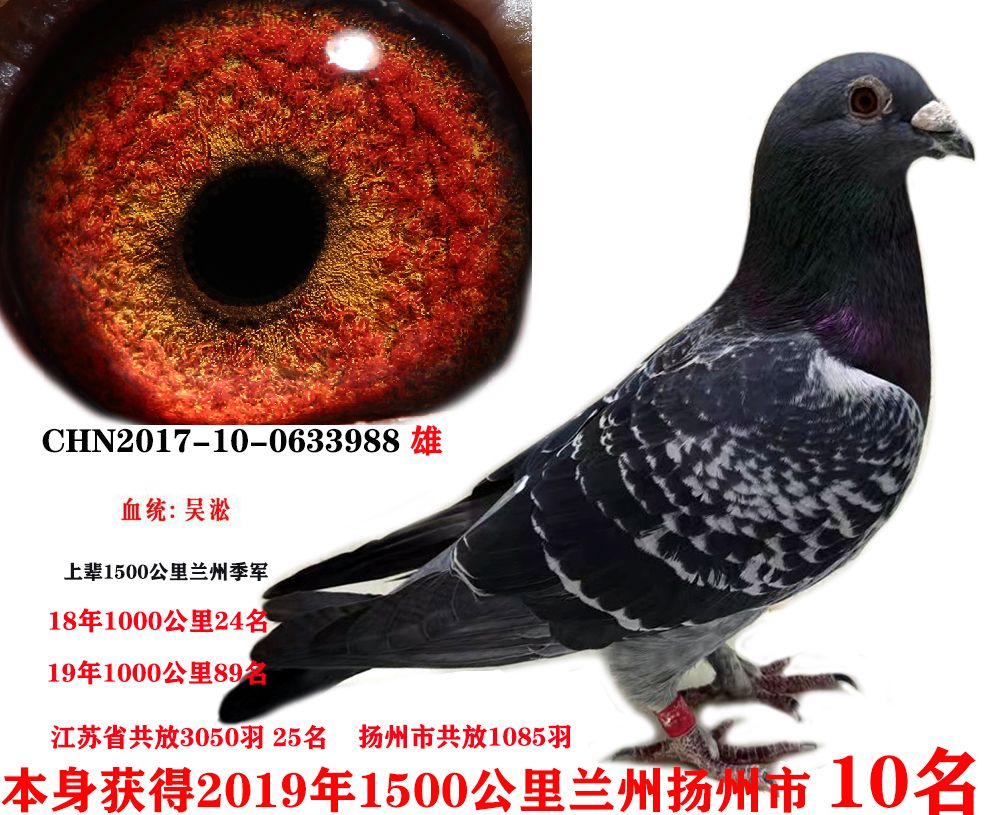 150010