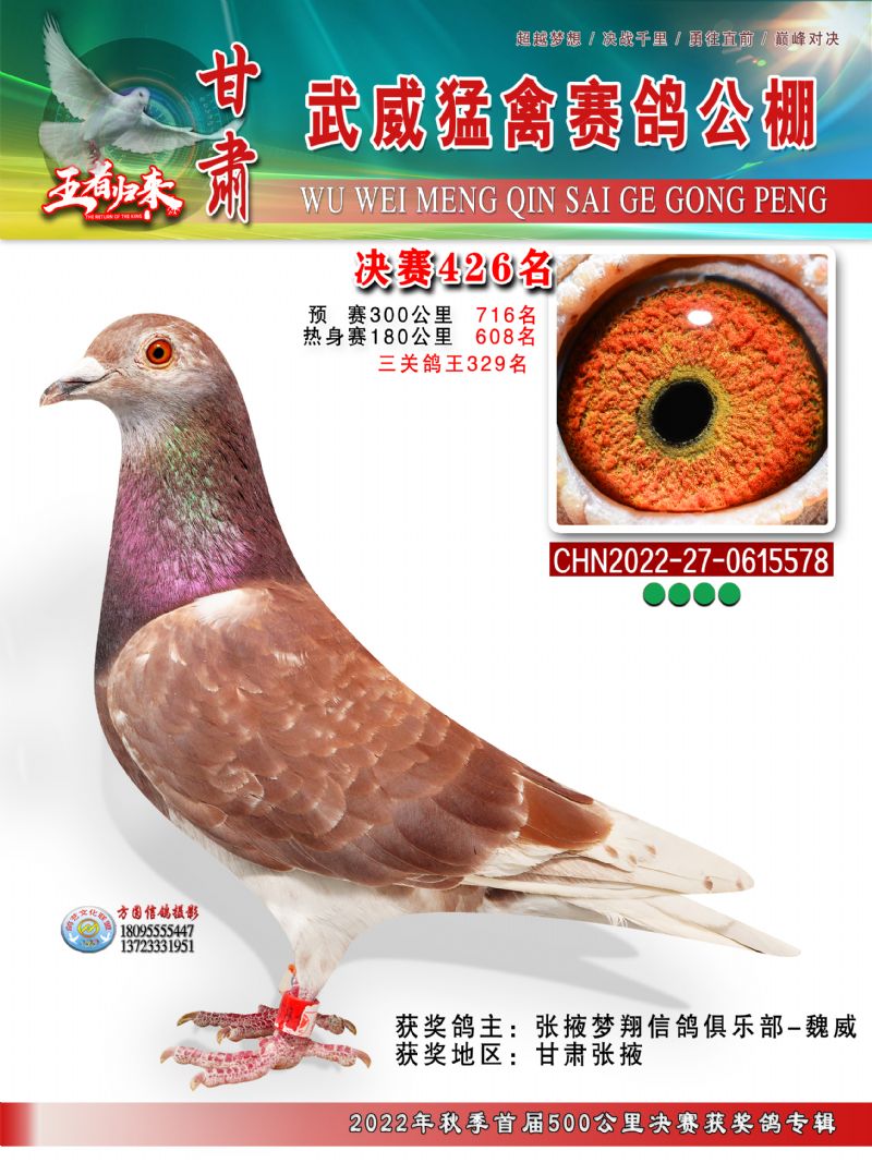 Cݹ426