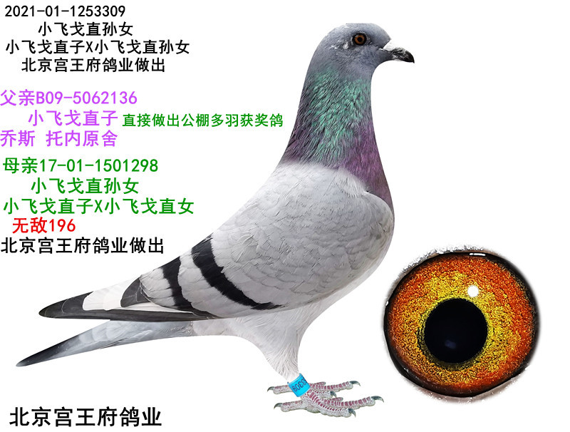 Сw ֱOŮ