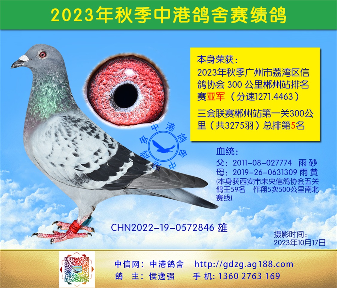 23300ﳻվǾ