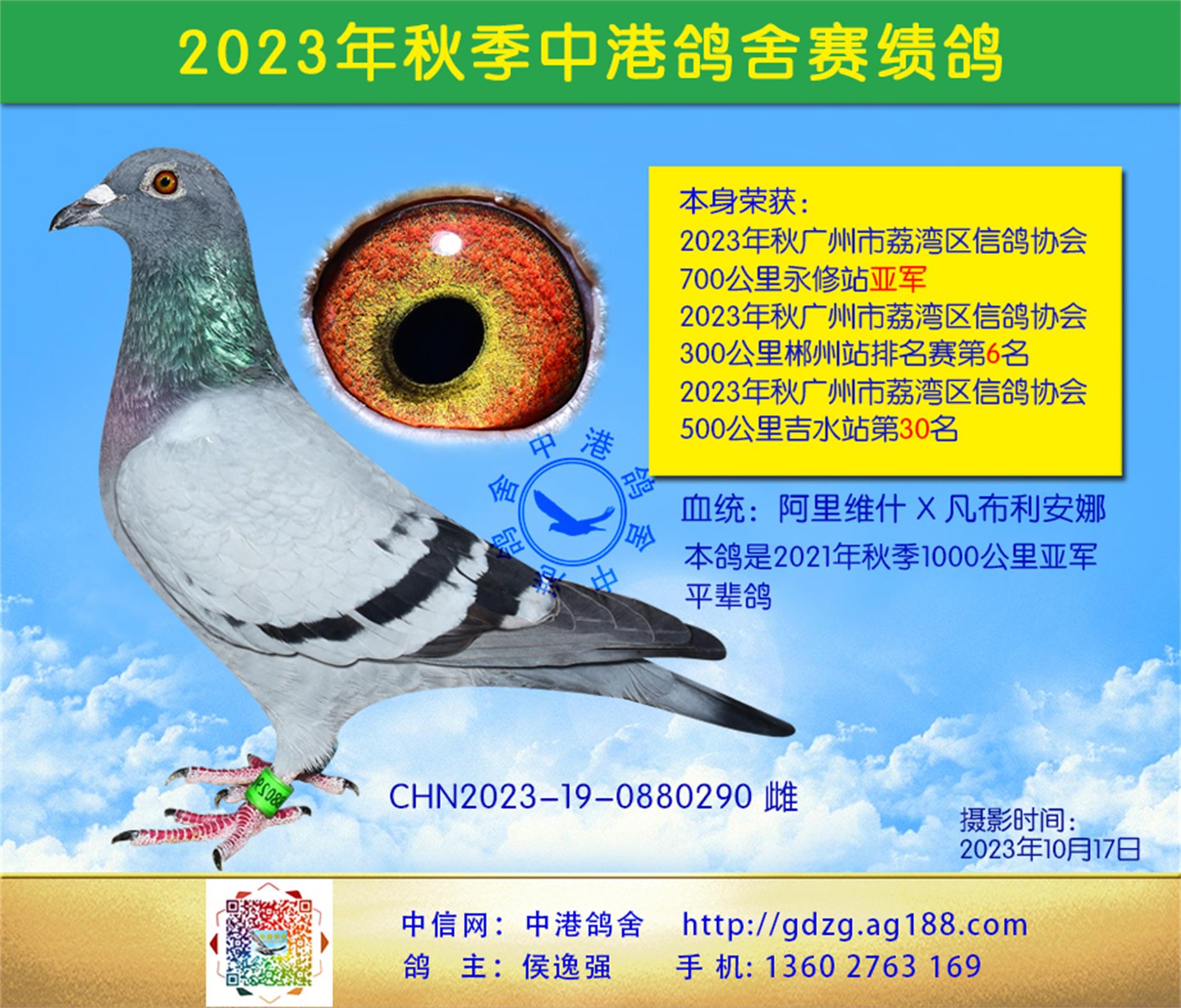 23300ﳻվ6
