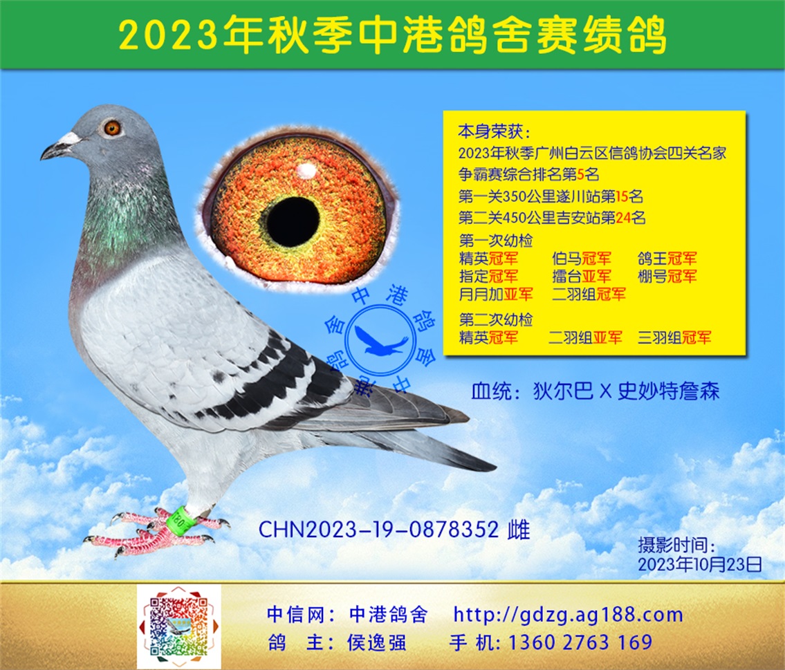23ݰĹۺϵ5