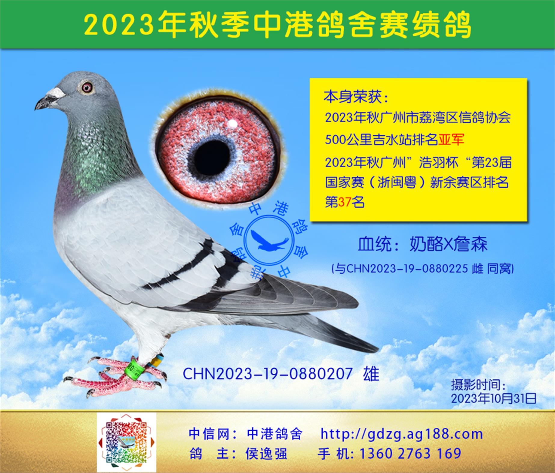 23500ＪˮǾ