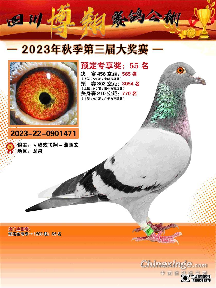  567