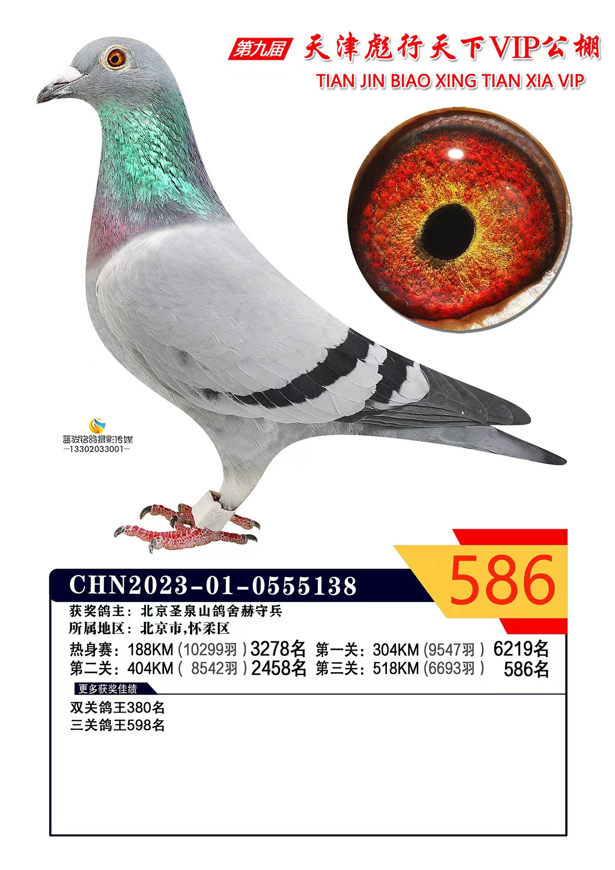586