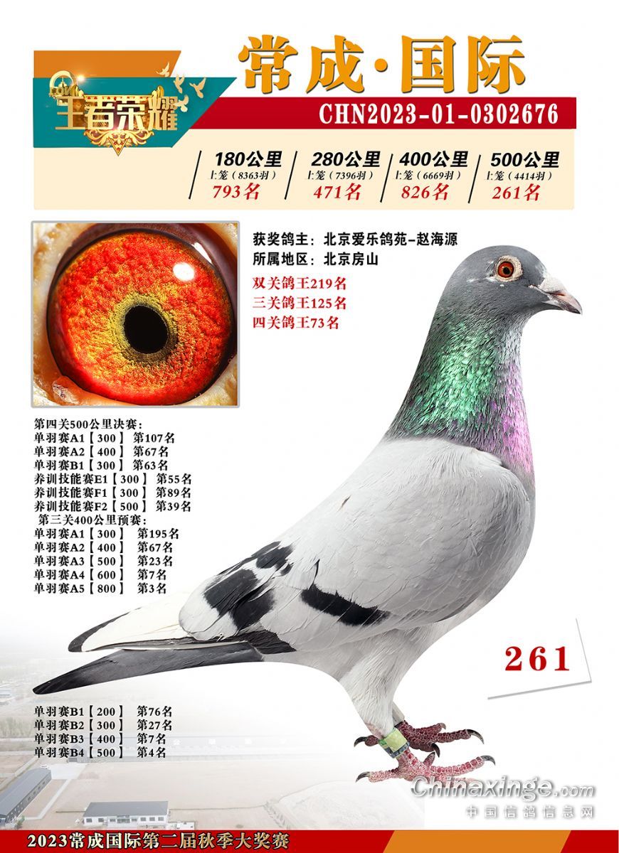 261