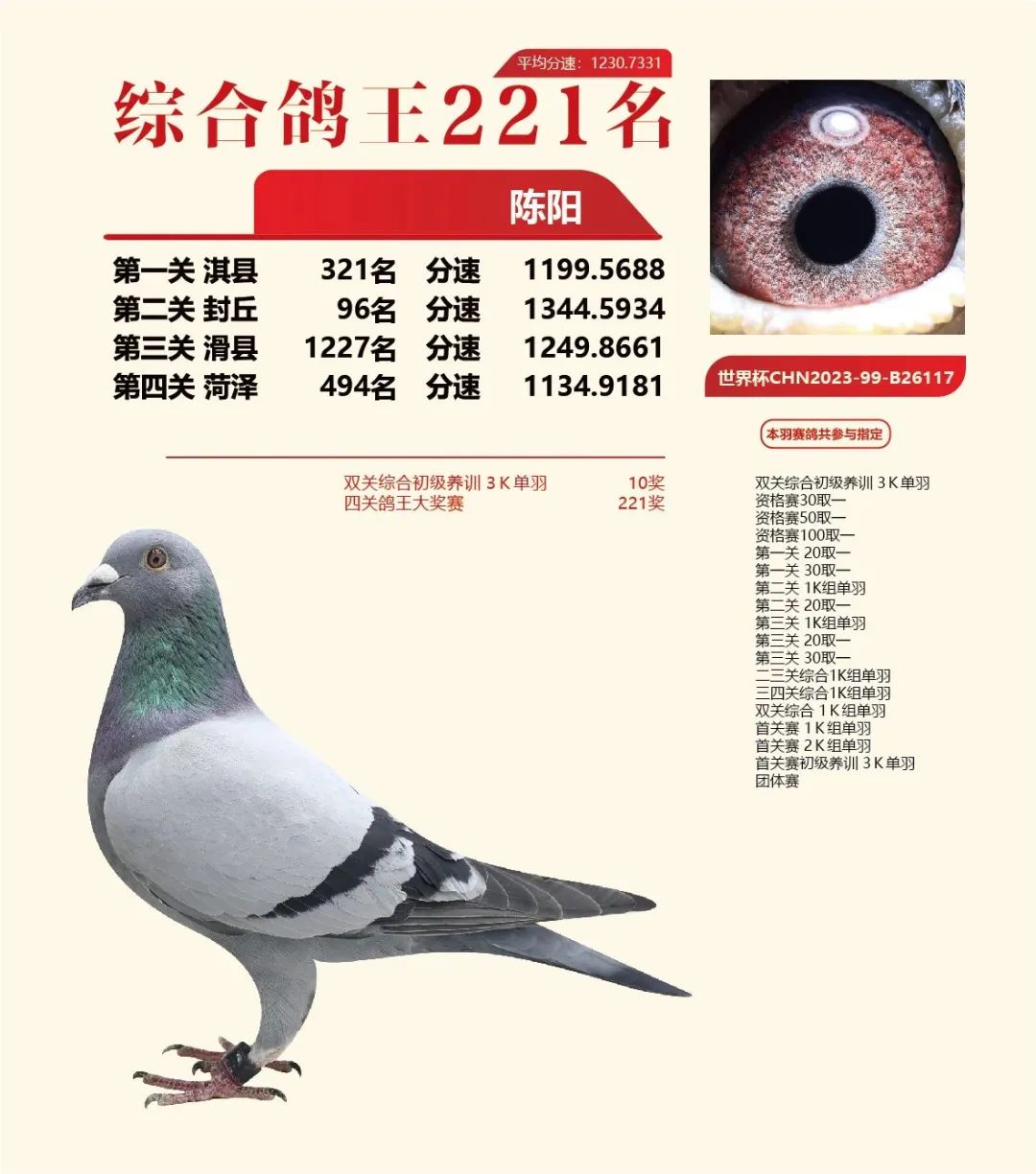 23Ї_(chung)վ221