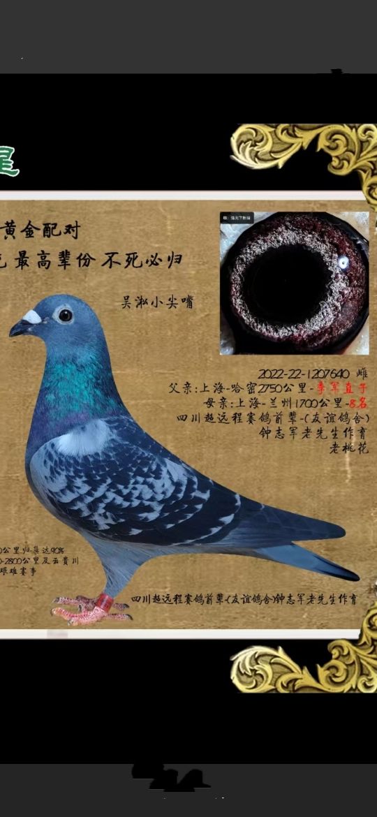 Nĸ