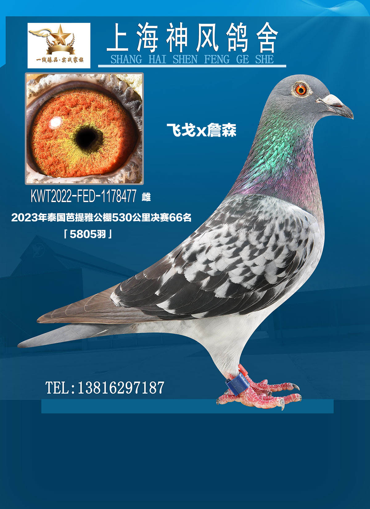 śQِ66