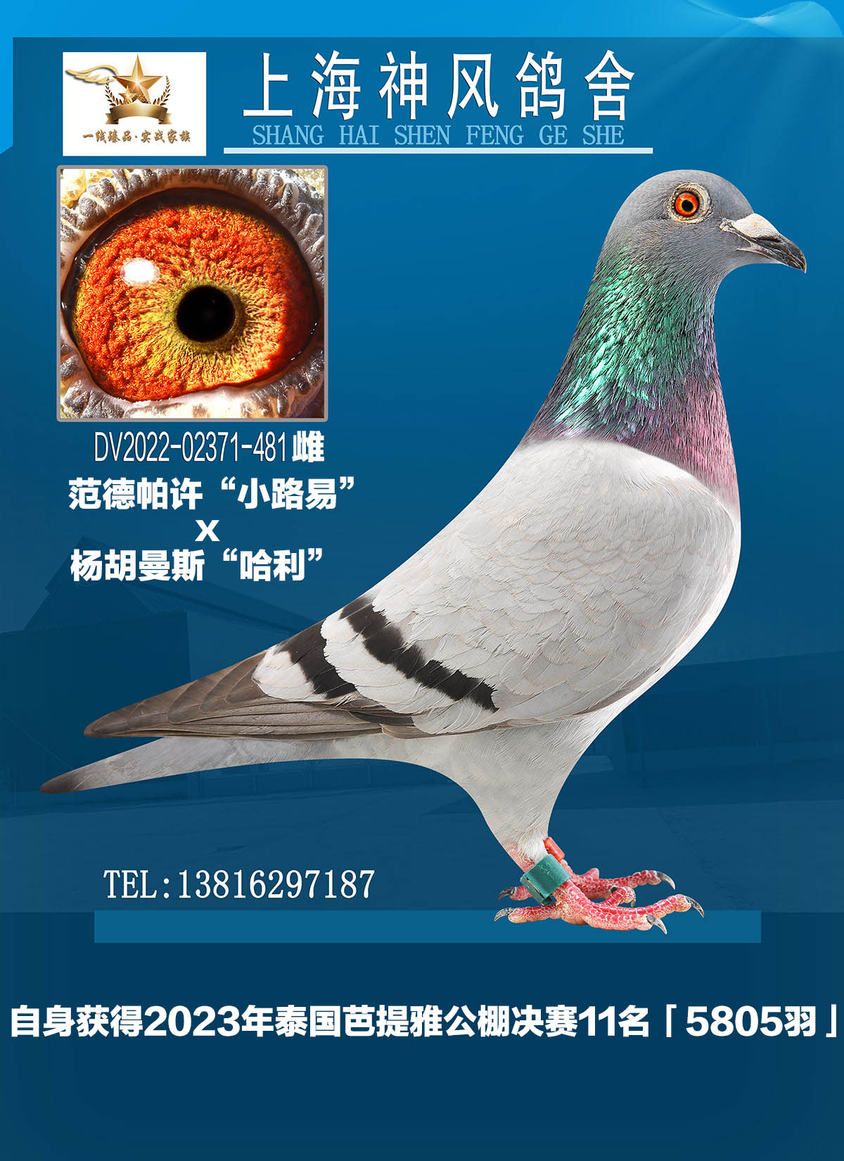̩śQِ11