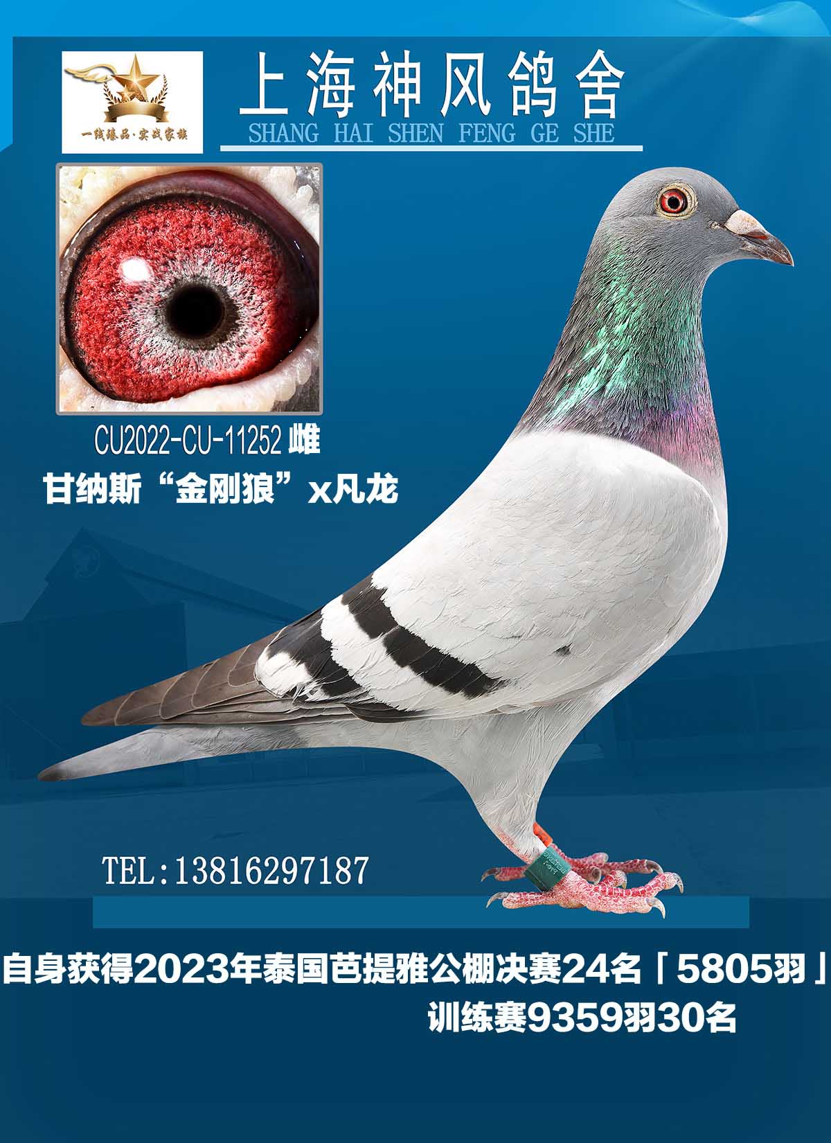 śQِ24