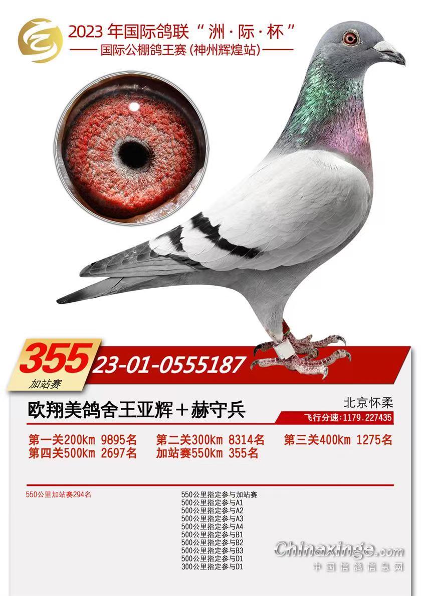 ݼվ355