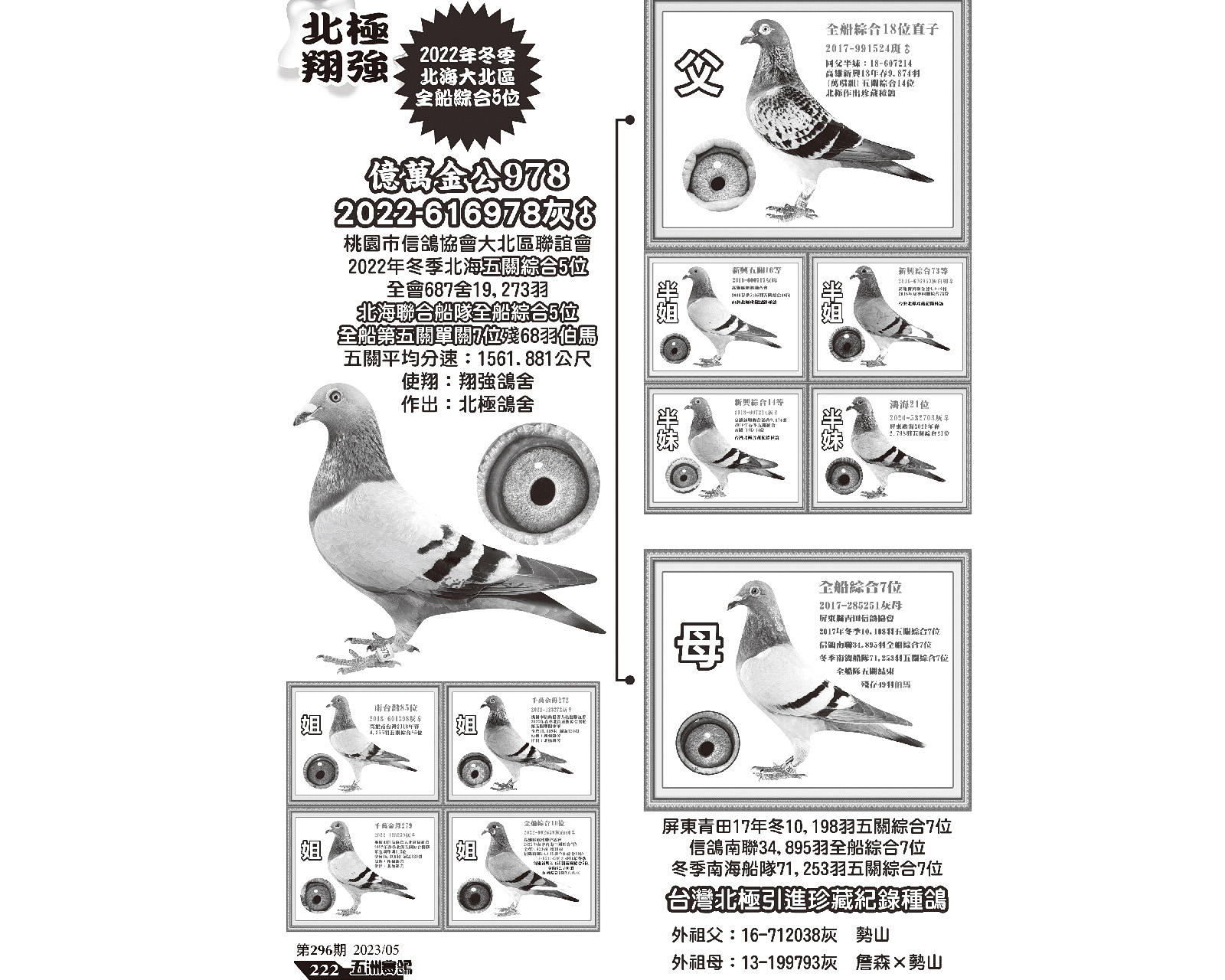 ِ296ڌLO菊(qing)P5