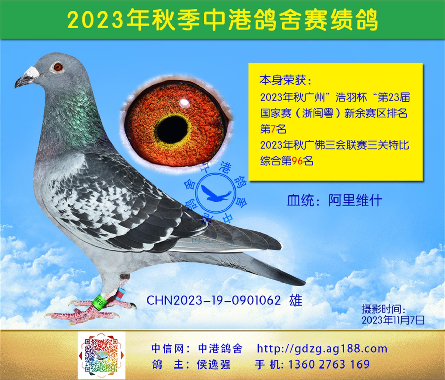 20237