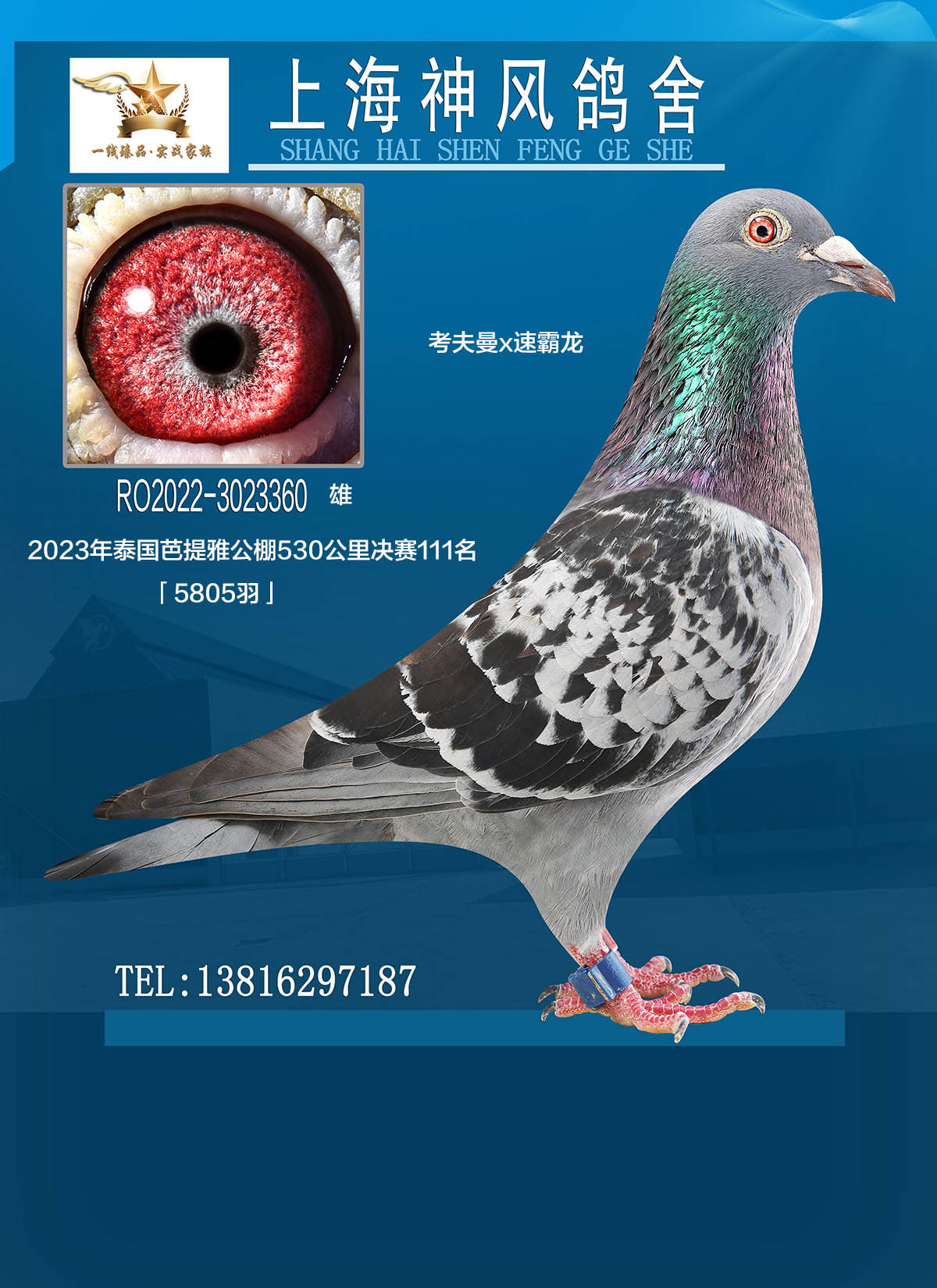 śQِ111