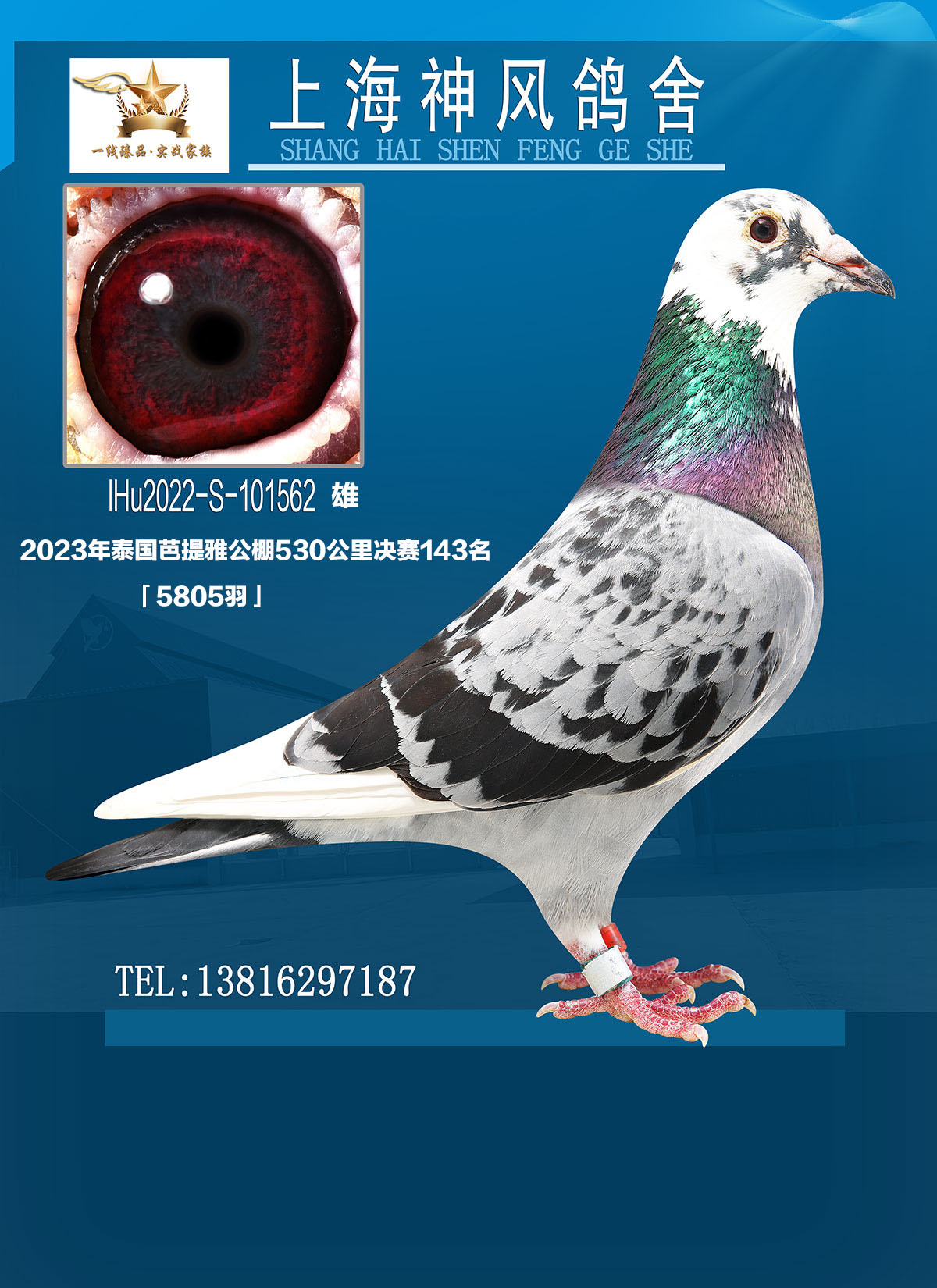 śQِ143