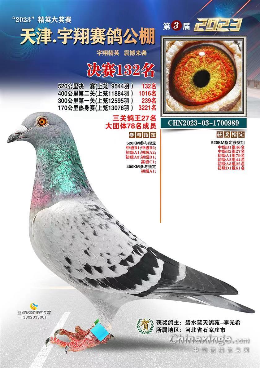 132D(zhun)׌