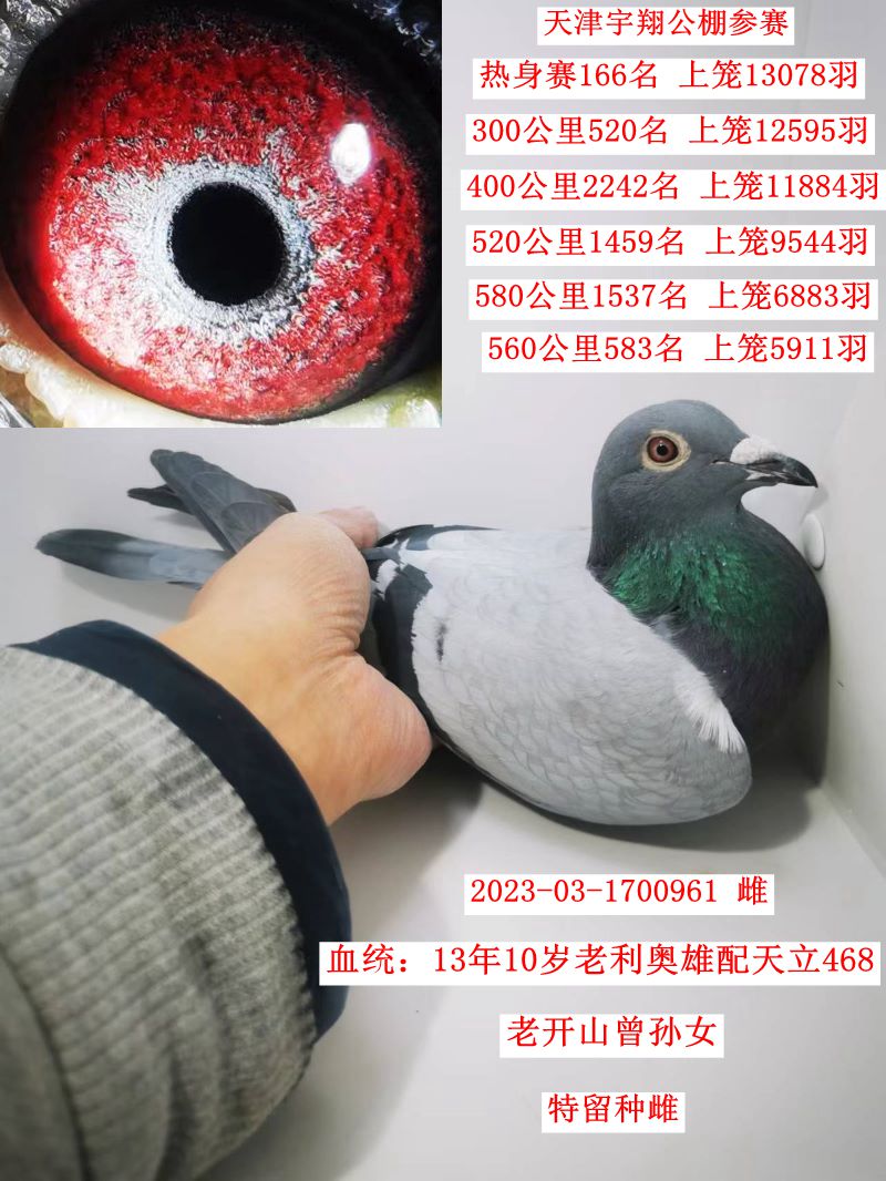 {(ln)ħֱŮD(zhun)׌