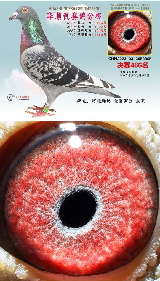 A혵