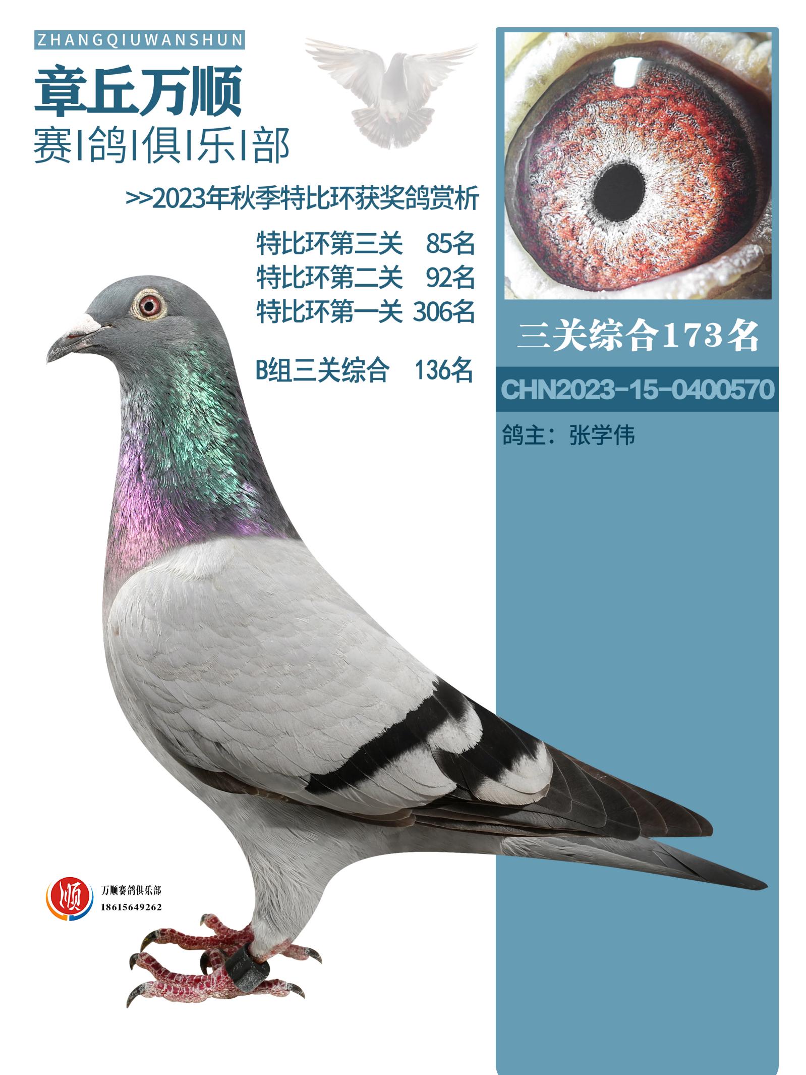 (zhn)570