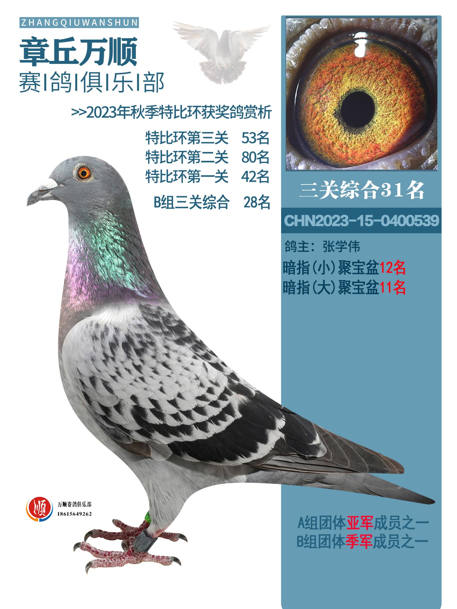 (zhn)539