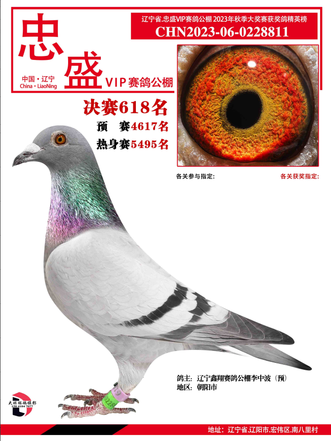 2023|ʢVIP@