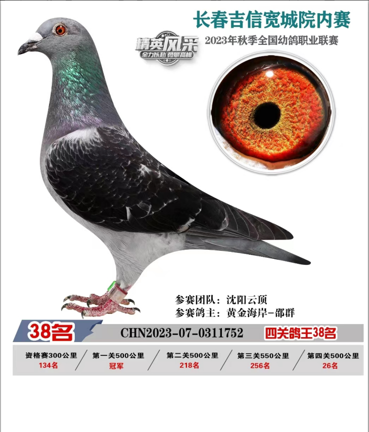 2023L(zhng)ž㘷@(jing)