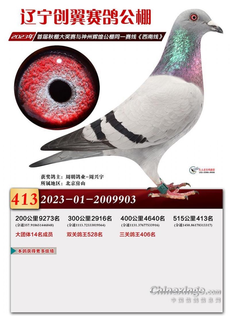 |(chung)Qِ413