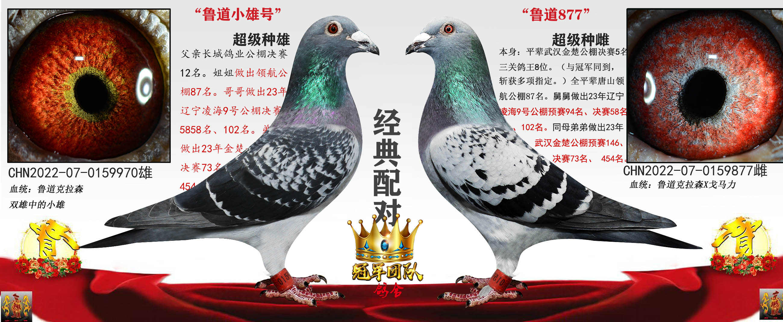 魯?shù)佬⌒厶朮魯?shù)?77（舅配外甥女）