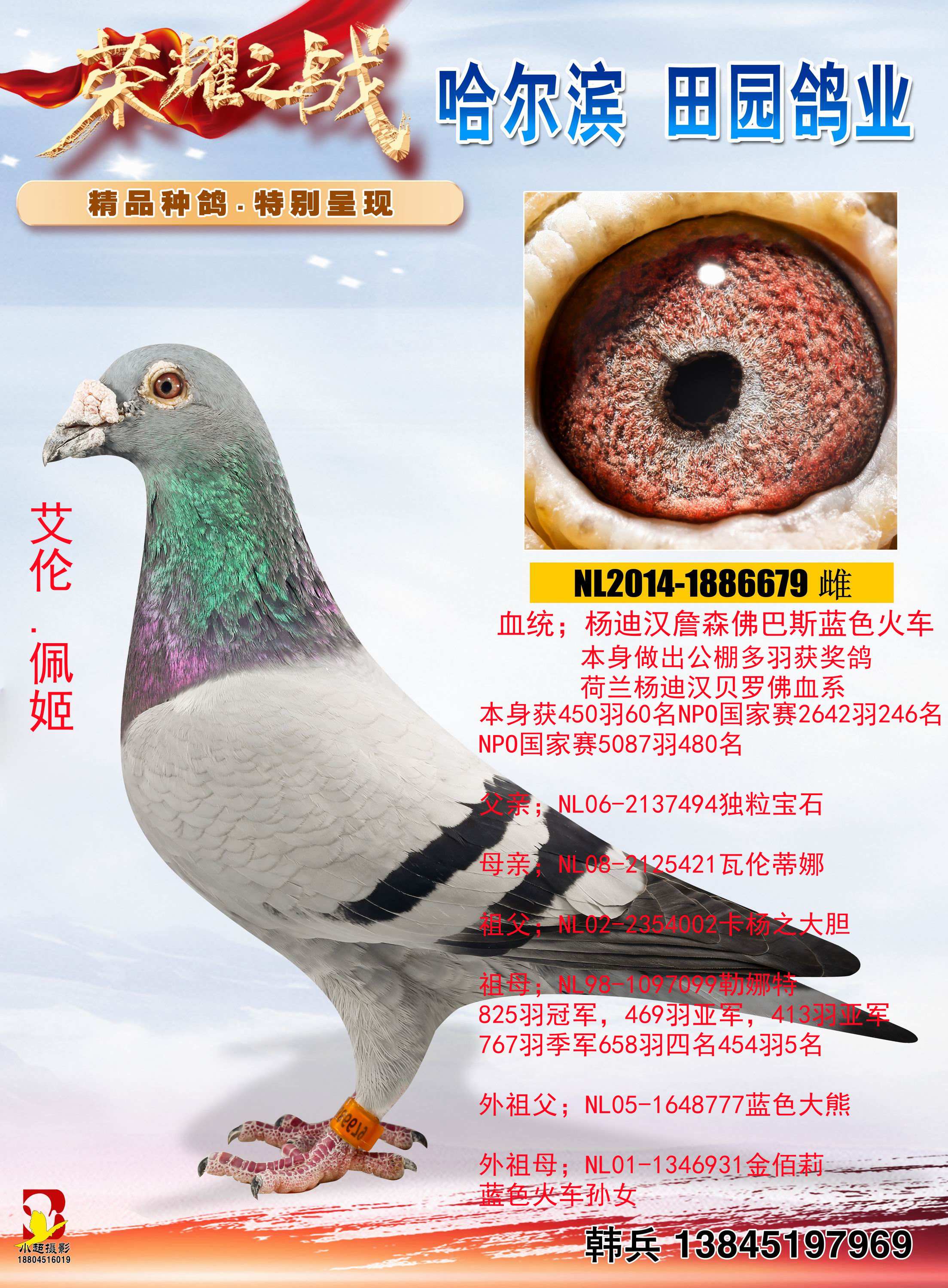 .弧