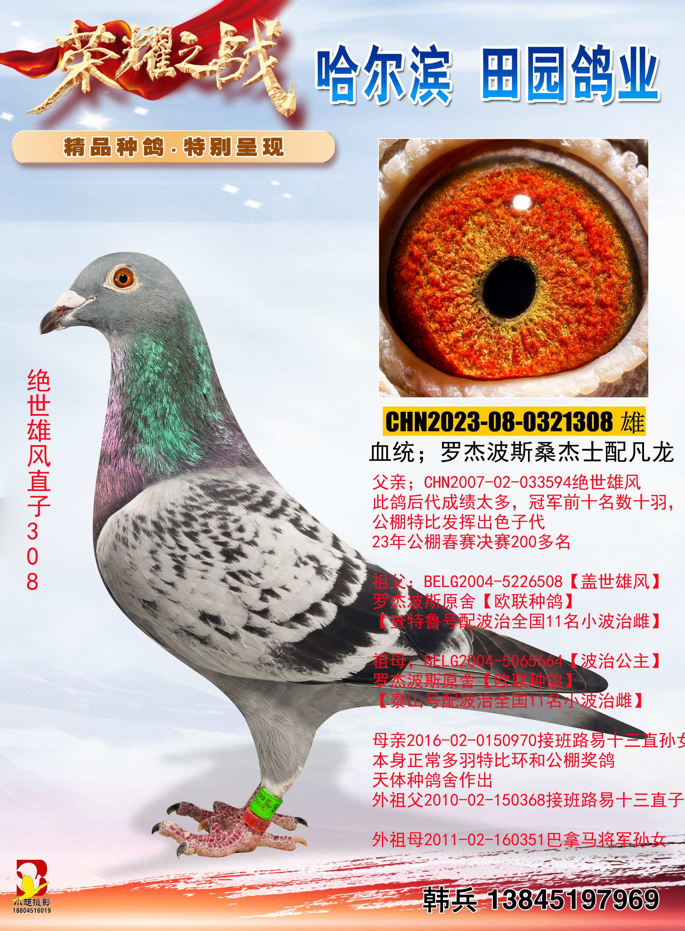 ^L(fng)ֱ308