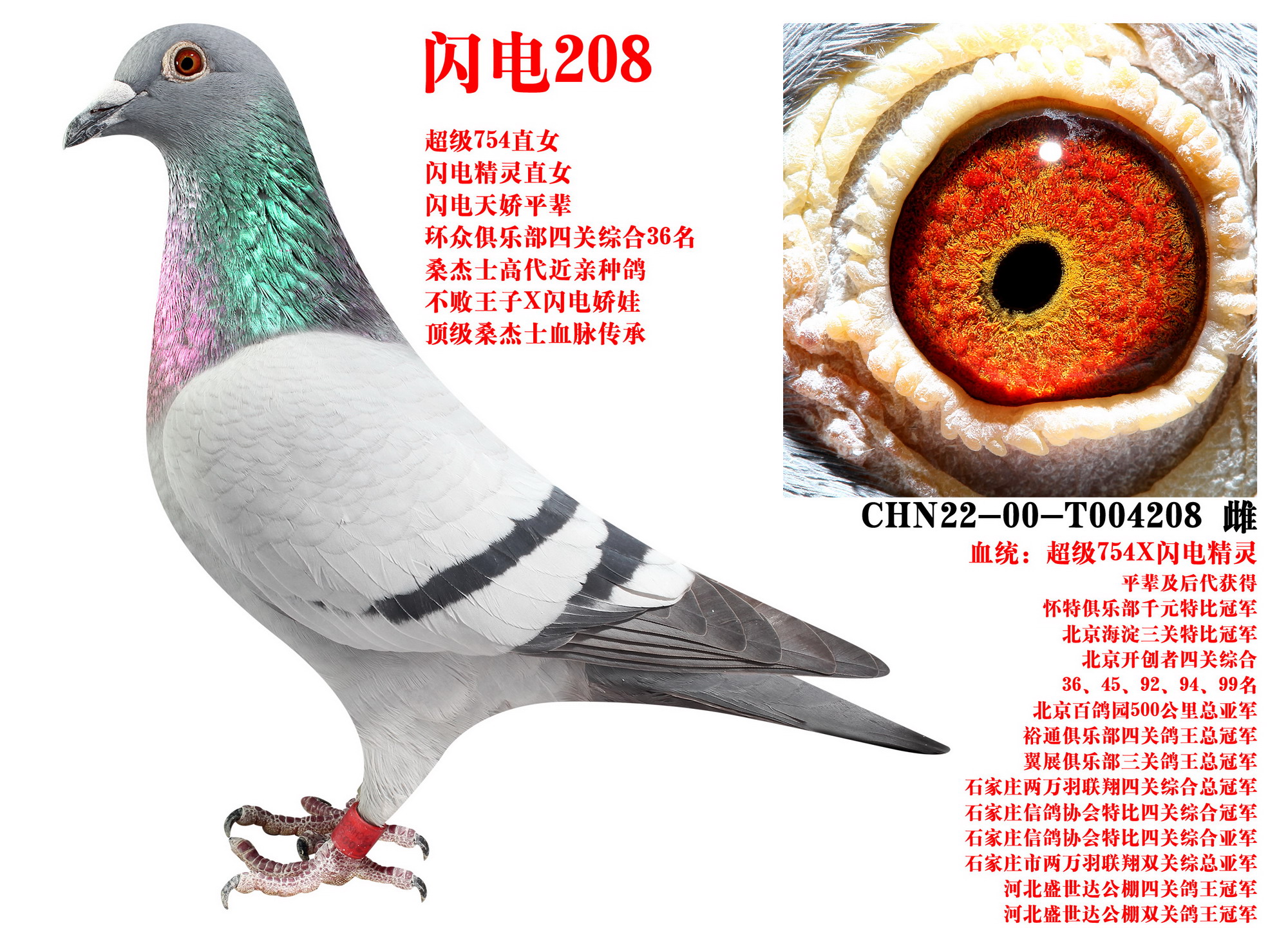 ɣʿ W208
